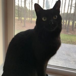 Meet your Posher, Ella